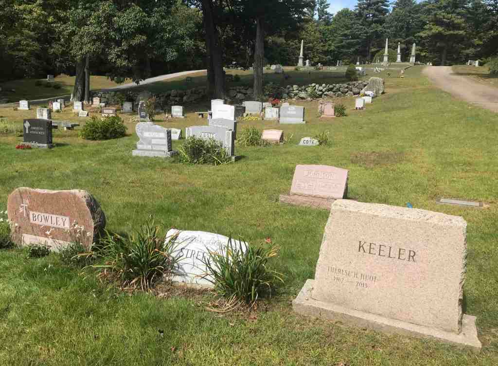 Time to remove decorations from Maple&nbsp;Grove